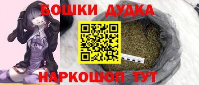 крисы Краснознаменск