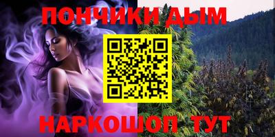 крисы Краснознаменск