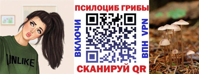 нарко площадка наркотические препараты  Каспийск  Галлюциногенные грибы мицелий 